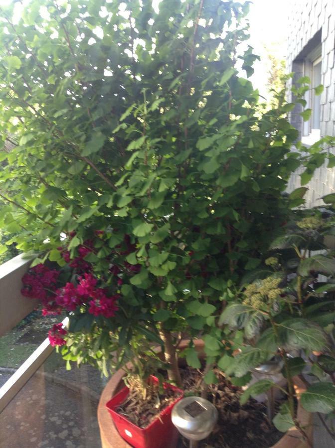 Appartement Monseigneur 반느 외부 사진